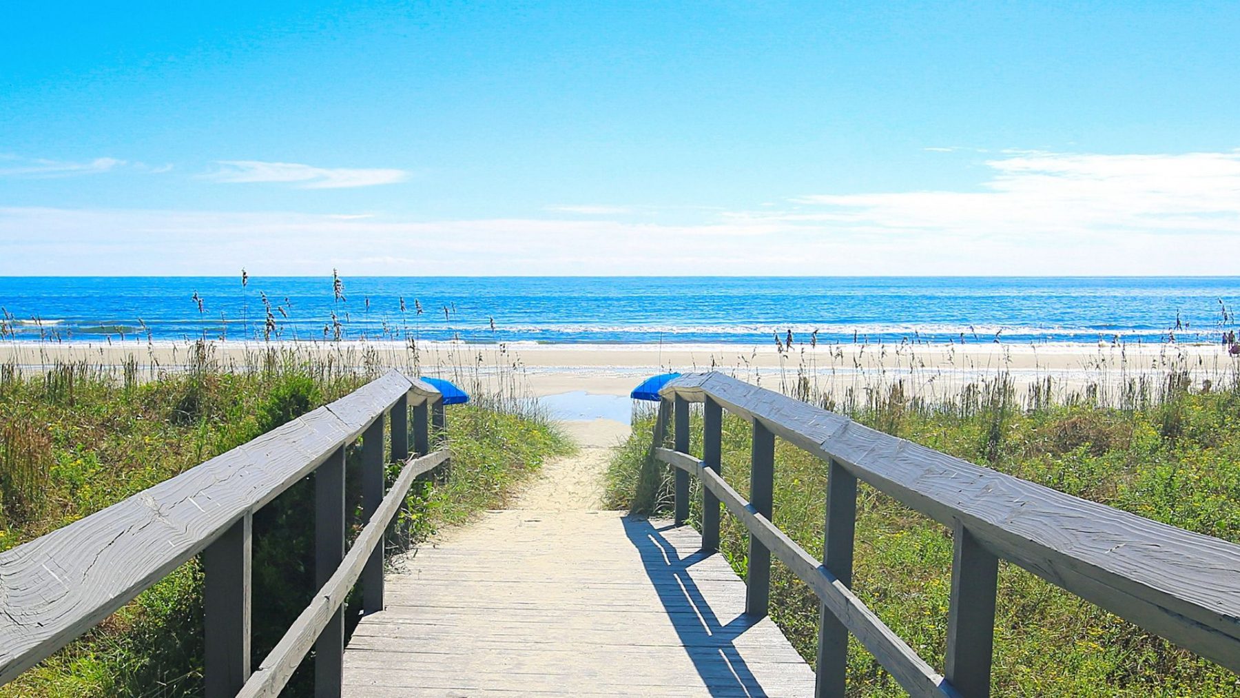 things to do on Isle of Palms beach