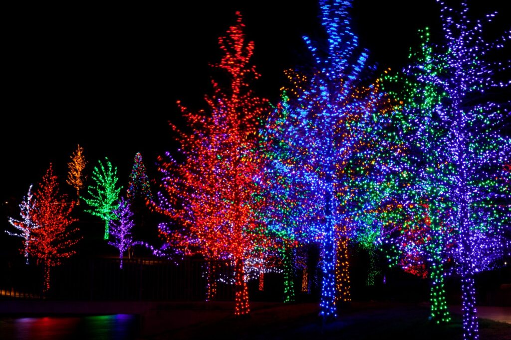 christmas lights at the James Island County Park Festival of Lights
