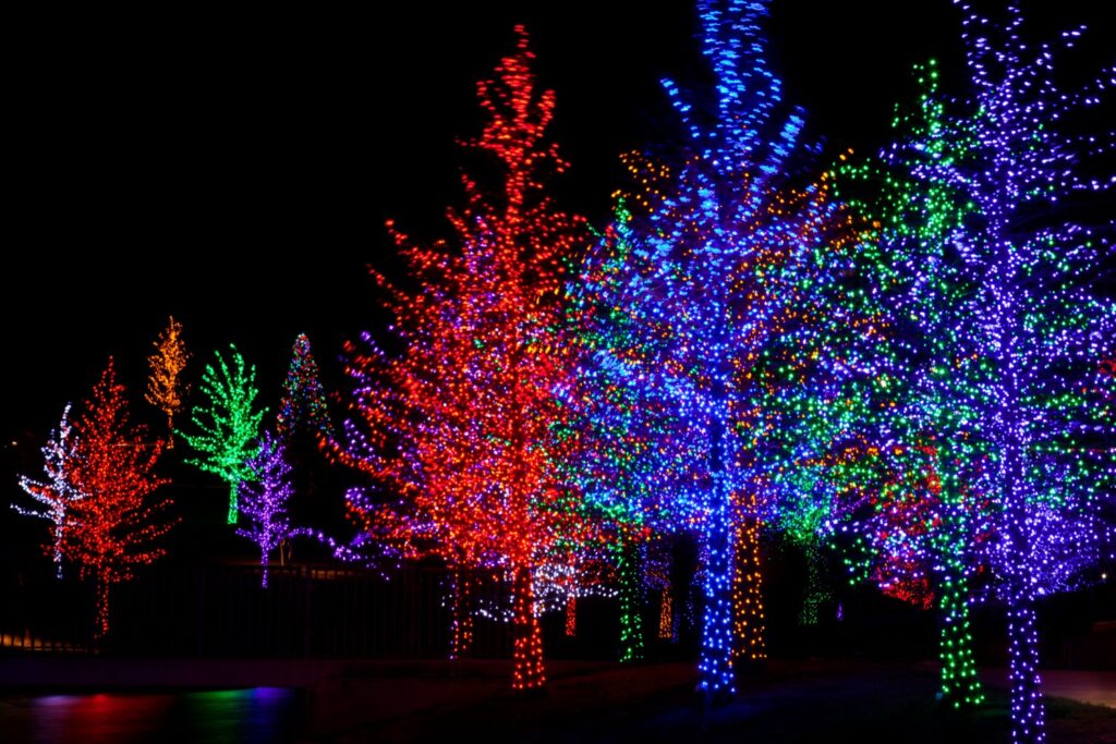 christmas lights at the James Island County Park Festival of Lights
