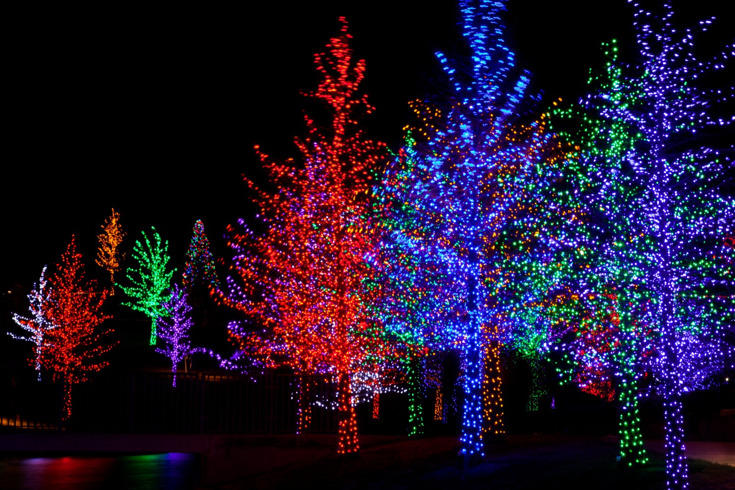 christmas lights at the James Island County Park Festival of Lights