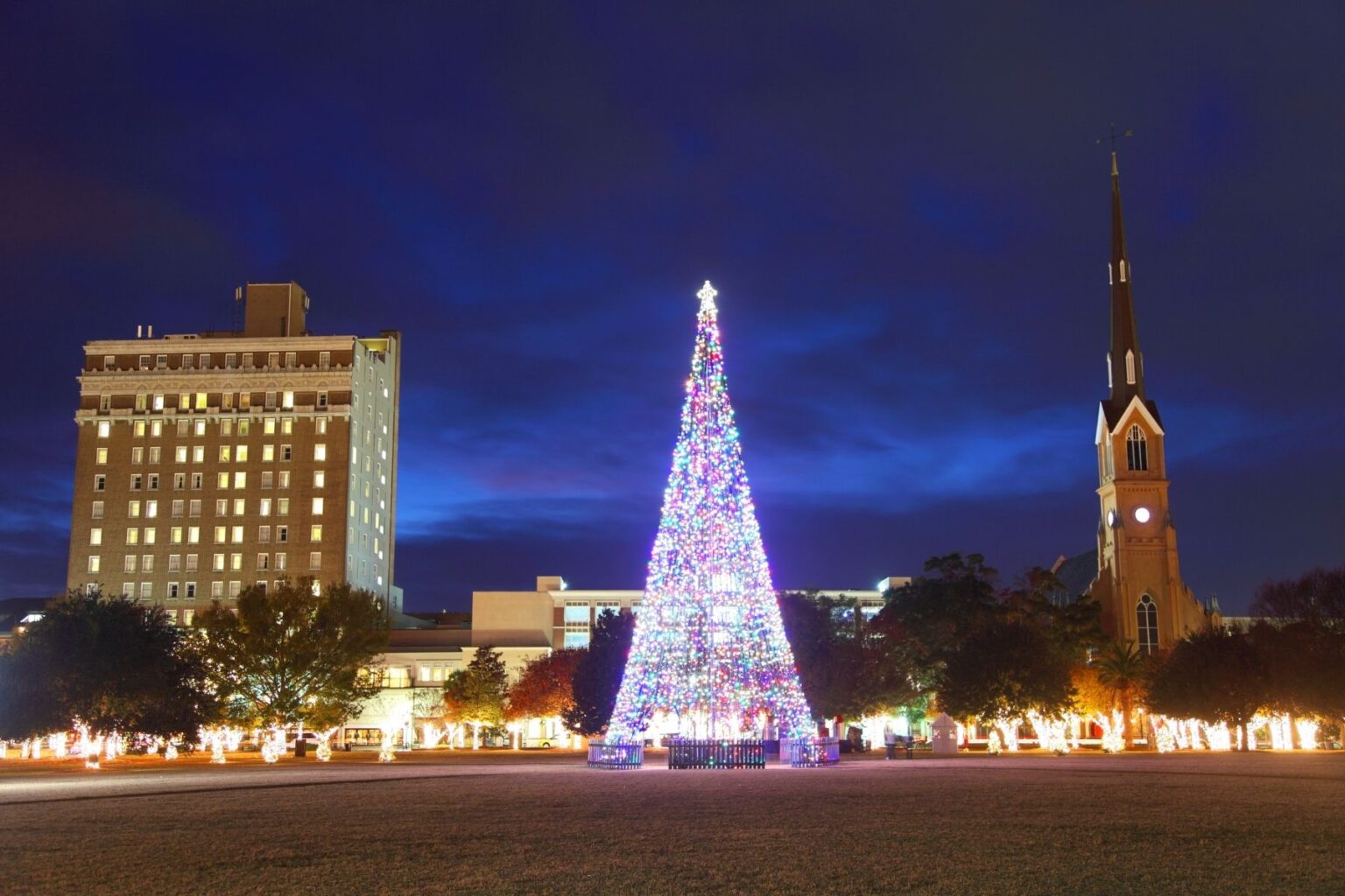 A large tree with lights for Christmas in Charleston