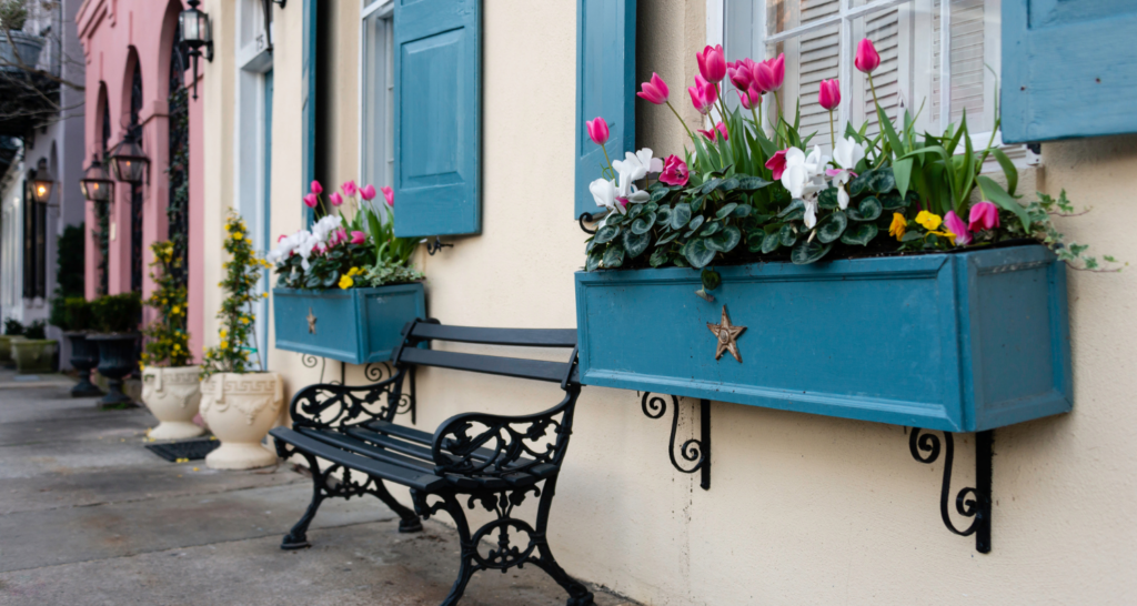 Colorful spring flower box on the side of an historic home in Charleston in May
