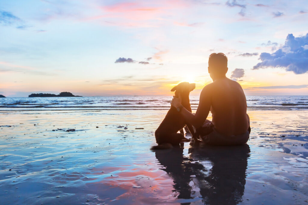 a guy and a dog on a beach