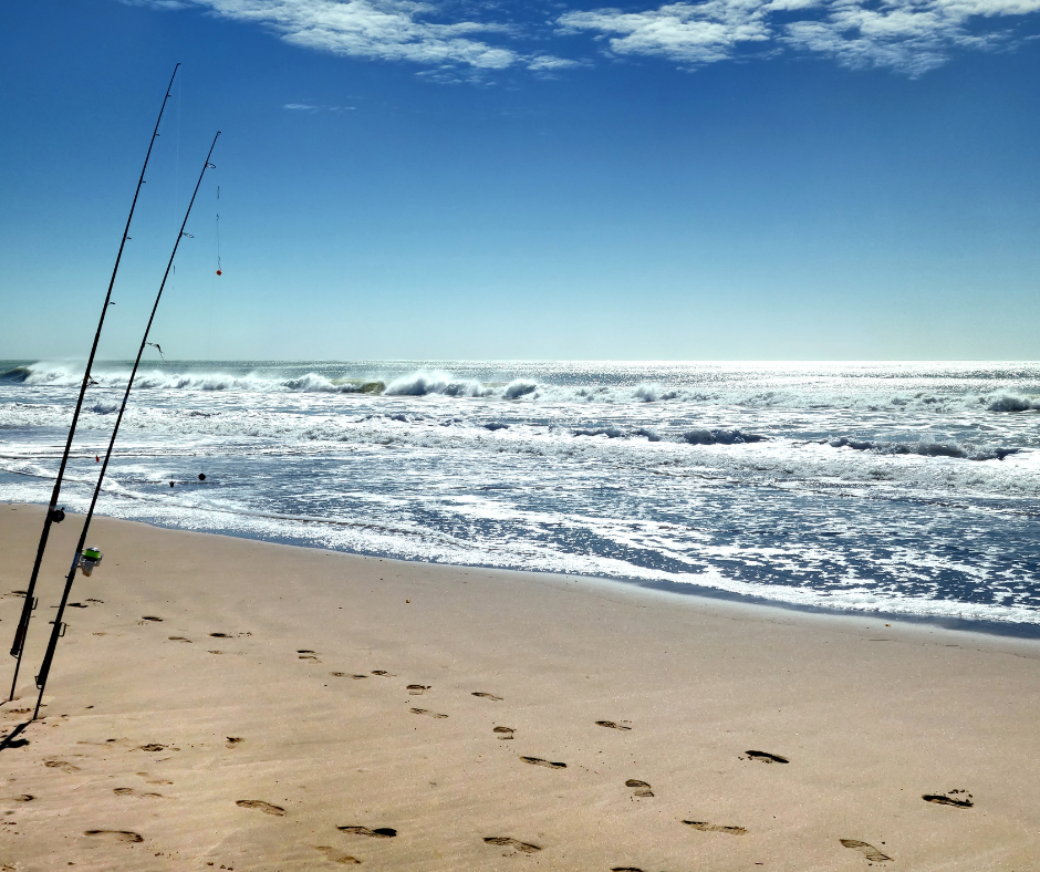 Fishing on beach 