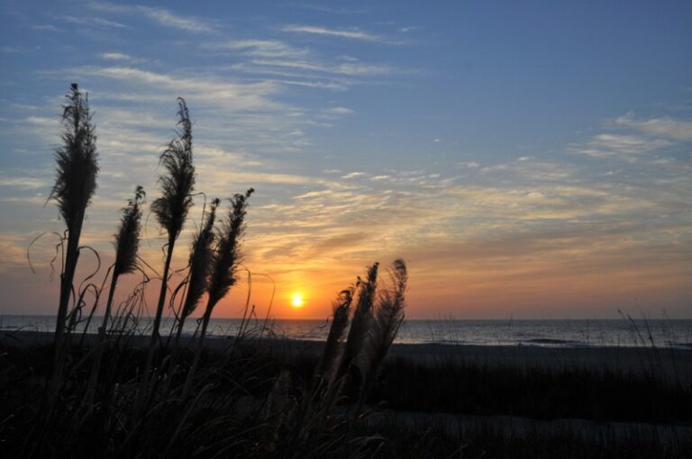 A beautiful winter sunrise in Charleston, SC.